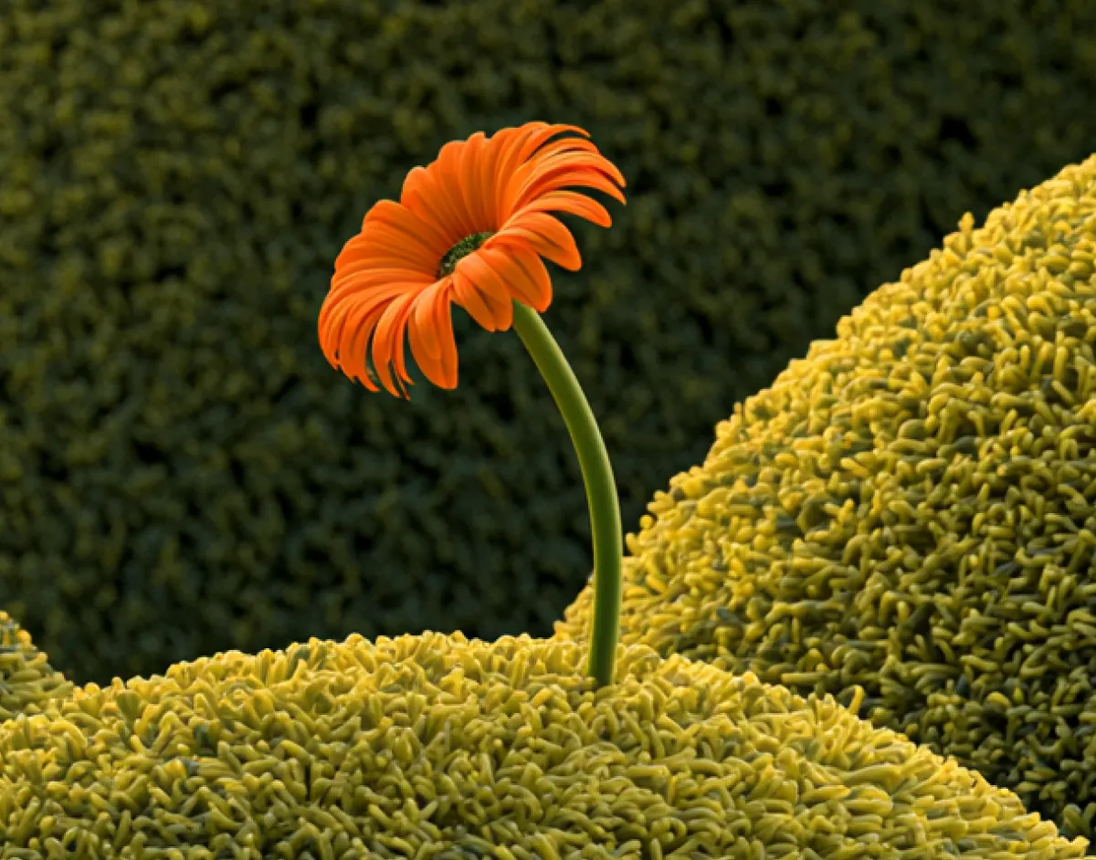Stylized flower close-up